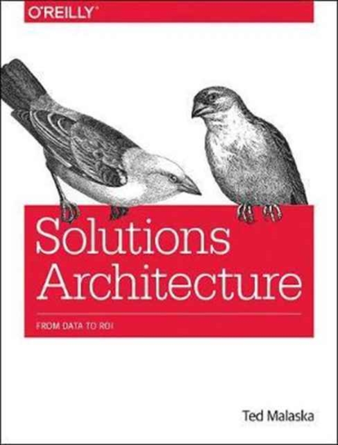Solutions Architecture, Paperback Book