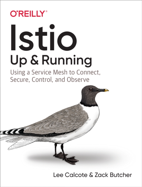 Istio: Up and Running : Using a Service Mesh to Connect, Secure, Control, and Observe, EPUB eBook