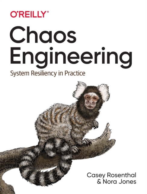 Chaos Engineering : System Resiliency in Practice, Paperback / softback Book