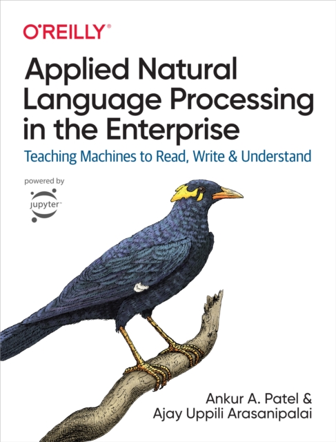 Applied Natural Language Processing in the Enterprise, PDF eBook
