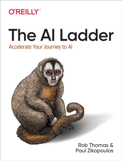 The AI Ladder : Accelerate Your Journey to AI, EPUB eBook