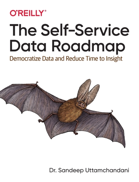 The Self-Service Data Roadmap : Democratize Data and Reduce Time to Insight, Paperback / softback Book