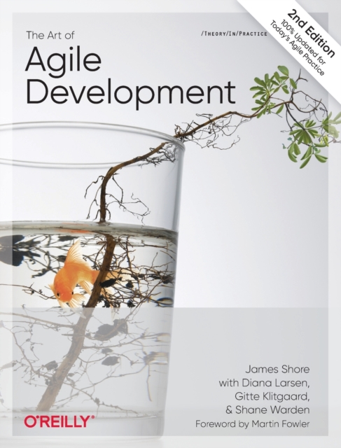The Art of Agile Development, Paperback / softback Book