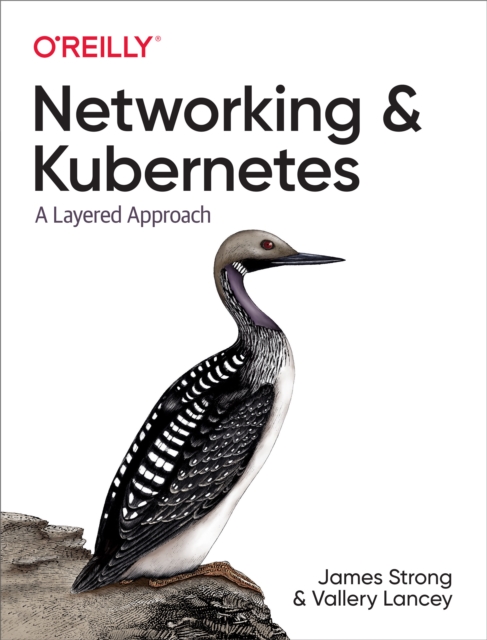Networking and Kubernetes, EPUB eBook
