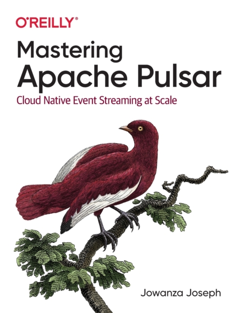 Mastering Apache Pulsar : Cloud Native Event Streaming at Scale, Paperback / softback Book