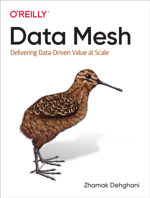 Data Mesh, PDF eBook