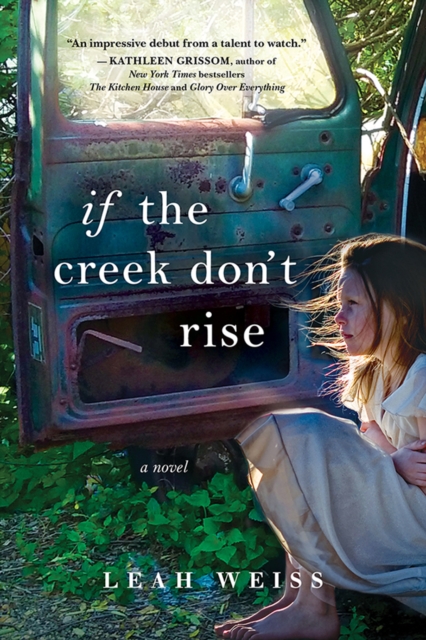 If the Creek Don't Rise : A Novel, EPUB eBook