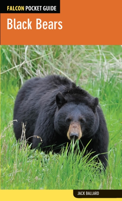 Black Bears, EPUB eBook
