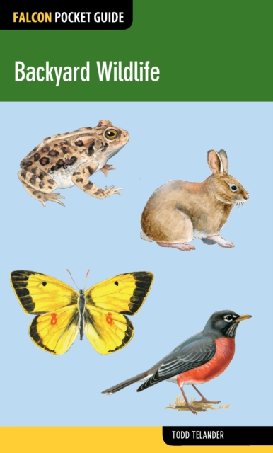 Backyard Wildlife, Paperback / softback Book