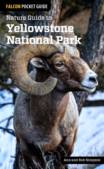 Nature Guide to Yellowstone National Park, EPUB eBook