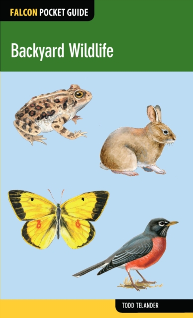 Backyard Wildlife, EPUB eBook