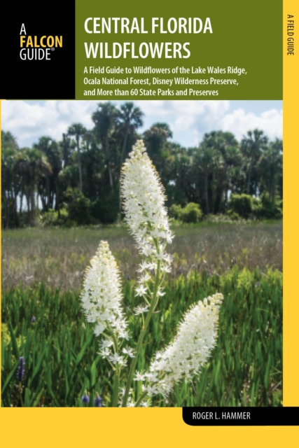 Central Florida Wildflowers : A Field Guide to Wildflowers of the Lake Wales Ridge, Ocala National Forest, Disney Wilderness Preserve, and More than 60 State Parks and Preserves, Paperback / softback Book