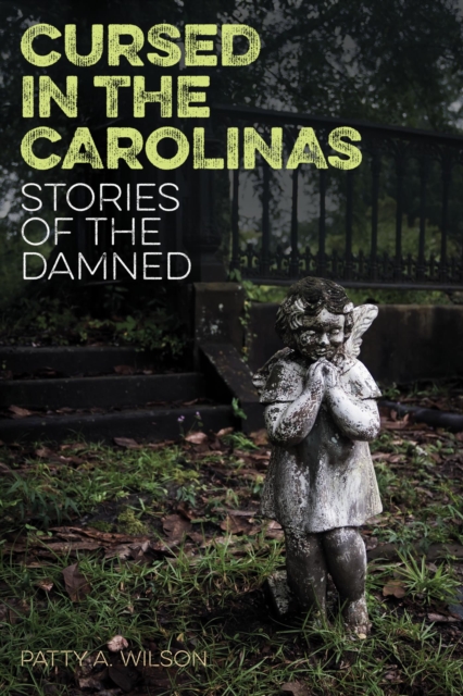 Cursed in the Carolinas : Stories of the Damned, EPUB eBook