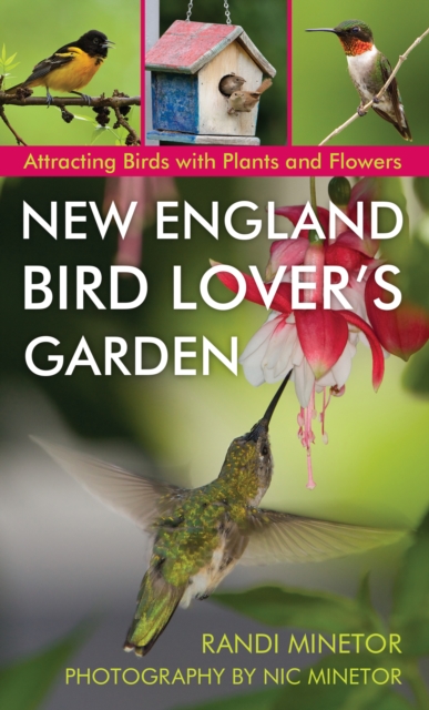 New England Bird Lover's Garden : Attracting Birds with Plants and Flowers, Paperback / softback Book
