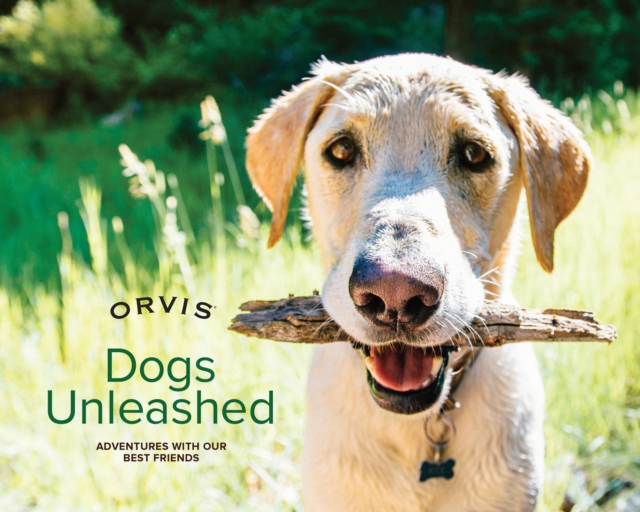 Dogs Unleashed : Adventures with Our Best Friends, Board book Book