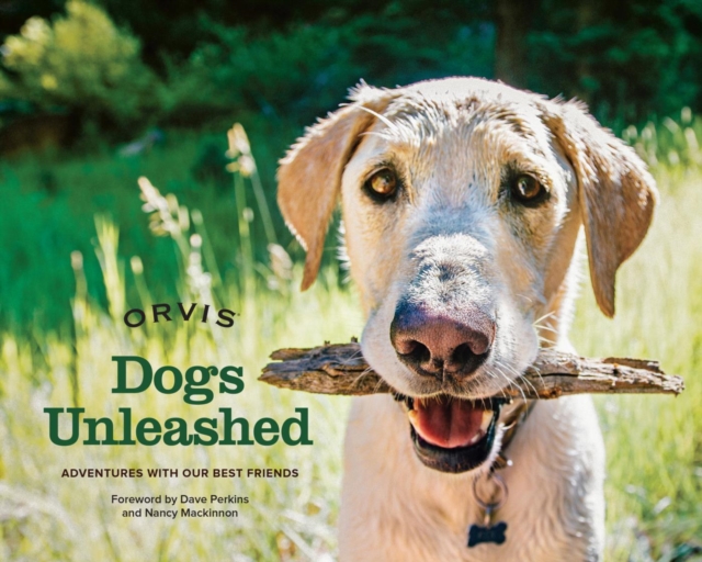Dogs Unleashed : Adventures with Our Best Friends, EPUB eBook