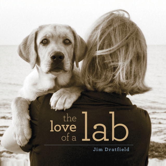 The Love of a Lab, Paperback / softback Book