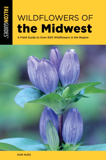 Wildflowers of the Midwest : A Field Guide to Over 600 Wildflowers in the Region, Paperback / softback Book