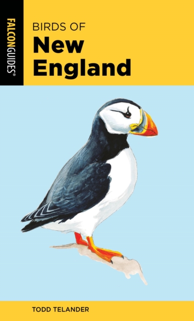 Birds of New England, EPUB eBook
