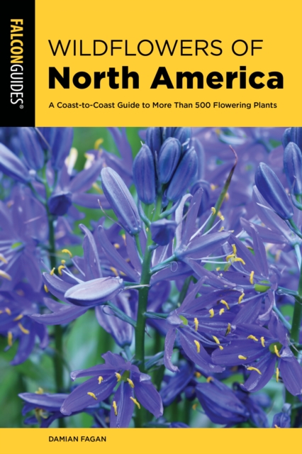 Wildflowers of North America : A Coast-to-Coast Guide to More than 500 Flowering Plants, Paperback / softback Book
