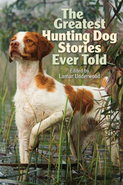 The Greatest Hunting Dog Stories Ever Told, Paperback / softback Book