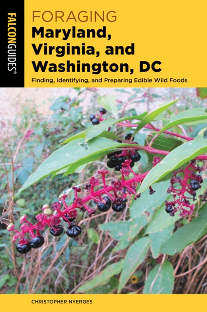 Foraging Maryland, Virginia, and Washington, DC : Finding, Identifying, and Preparing Edible Wild Foods, Paperback / softback Book