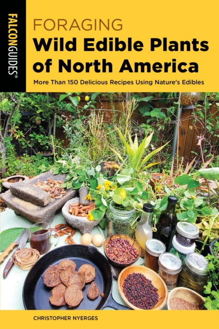 Foraging Wild Edible Plants of North America : More than 150 Delicious Recipes Using Nature's Edibles, Paperback / softback Book