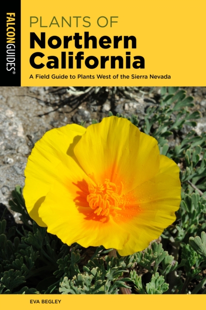 Plants of Northern California : A Field Guide to Plants West of the Sierra Nevada, Paperback / softback Book