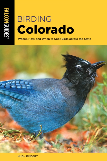 Birding Colorado : Where, How, and When to Spot Birds across the State, Paperback / softback Book