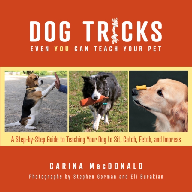 Dog Tricks Even You Can Teach Your Pet : A Step-by-Step Guide to Teaching Your Pet to Sit, Catch, Fetch, and Impress, EPUB eBook