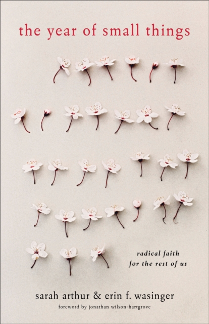 The Year of Small Things : Radical Faith for the Rest of Us, EPUB eBook