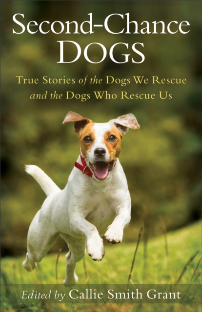 Second-Chance Dogs : True Stories of the Dogs We Rescue and the Dogs Who Rescue Us, EPUB eBook