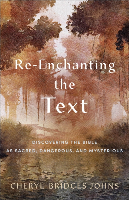 Re-enchanting the Text : Discovering the Bible as Sacred, Dangerous, and Mysterious, EPUB eBook