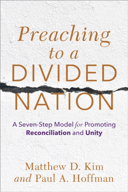 Preaching to a Divided Nation : A Seven-Step Model for Promoting Reconciliation and Unity, EPUB eBook
