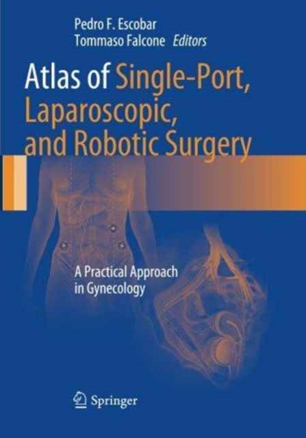 Atlas of Single-Port, Laparoscopic, and Robotic Surgery : A Practical Approach in Gynecology, Paperback / softback Book