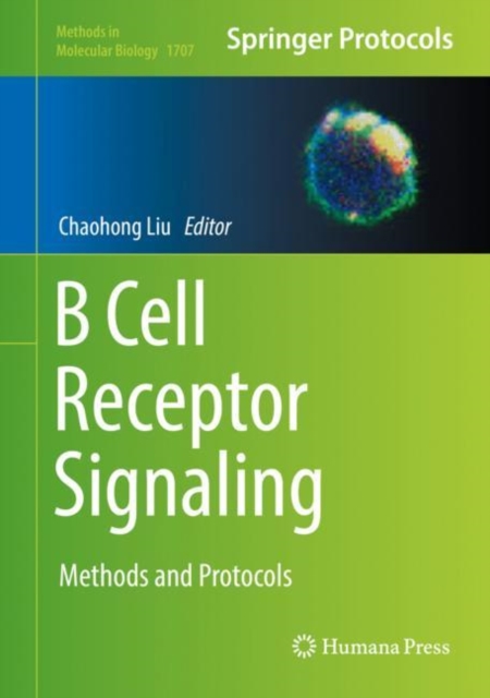 B Cell Receptor Signaling : Methods and Protocols, EPUB eBook