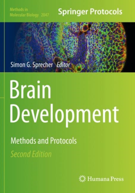 Brain Development : Methods and Protocols, Paperback / softback Book