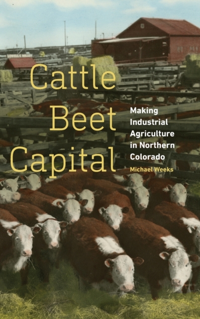 Cattle Beet Capital : Making Industrial Agriculture in Northern Colorado, Hardback Book
