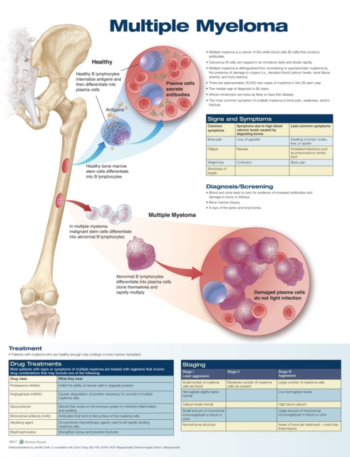 Multiple Myeloma Anatomical Chart, Wallchart Book