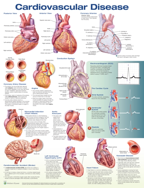 Cardiovascular Disease Anatomical Chart, Wallchart Book