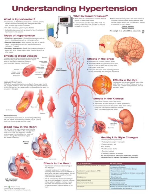 Understanding Hypertension Anatomical Chart, Wallchart Book