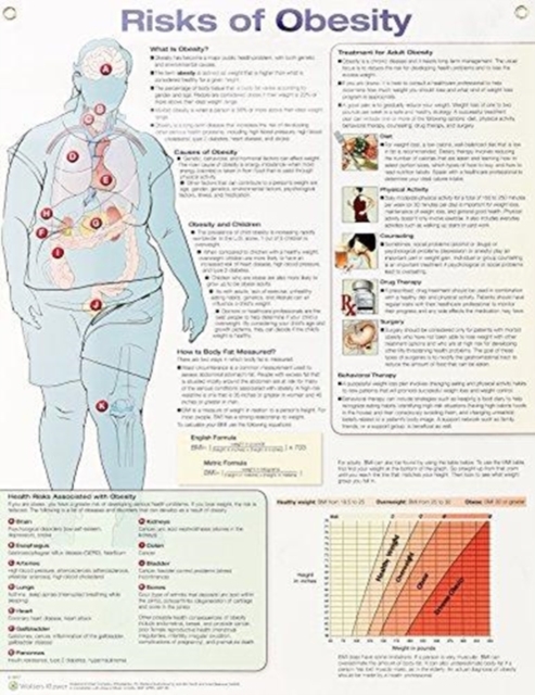 Risks of Obesity Anatomical Chart Laminated, Poster Book