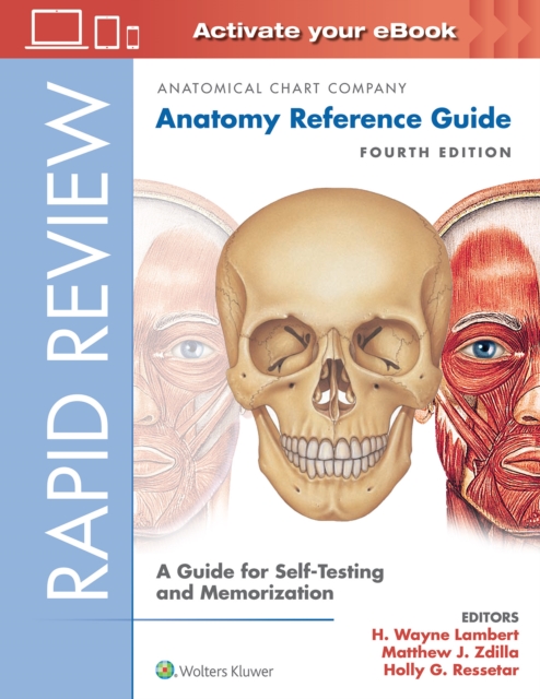 Rapid Review: Anatomy Reference Guide : A Guide for Self-Testing and Memorization, Spiral bound Book