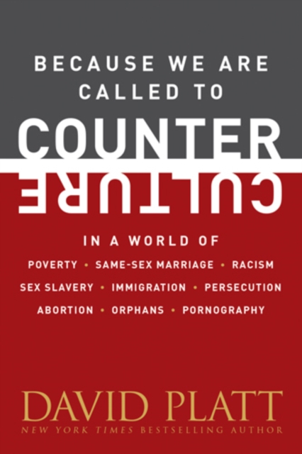 Because We Are Called to Counter Culture, EPUB eBook