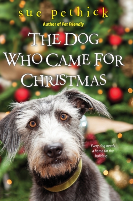 The Dog Who Came for Christmas, Paperback / softback Book