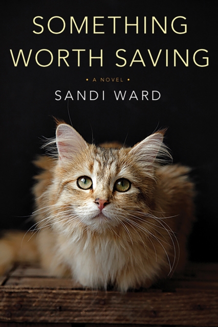 Something Worth Saving, EPUB eBook