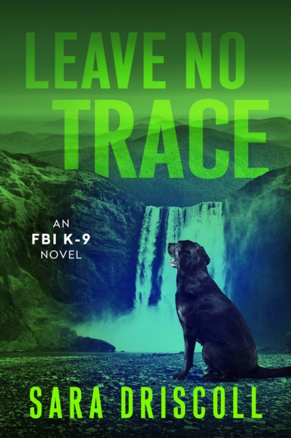 Leave No Trace, EPUB eBook