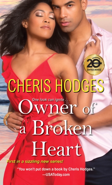 Owner of a Broken Heart, EPUB eBook