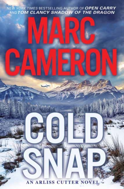 Cold Snap : An Action Packed Novel of Suspense, Hardback Book