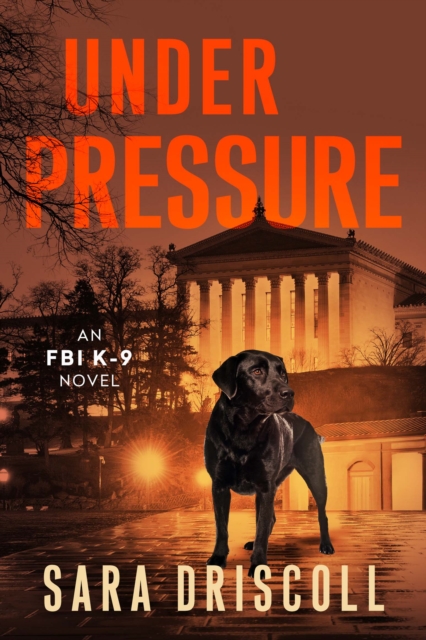 Under Pressure : A Spellbinding Crime Thriller, EPUB eBook